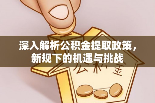 米易深入解析公积金提取政策，新规下的机遇与挑战