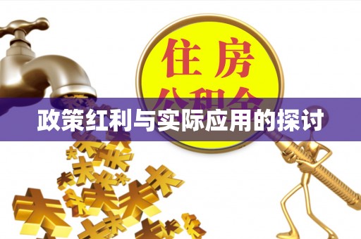 米易政策红利与实际应用的探讨