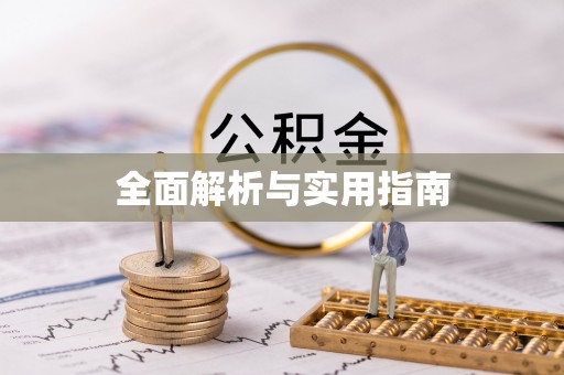 米易全面解析与实用指南